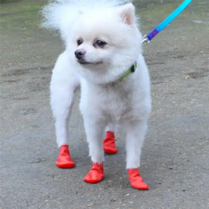 Chaussures de pluie imperméables pour animaux de compagnie, botte en caoutchouc anti-ald pour chien,