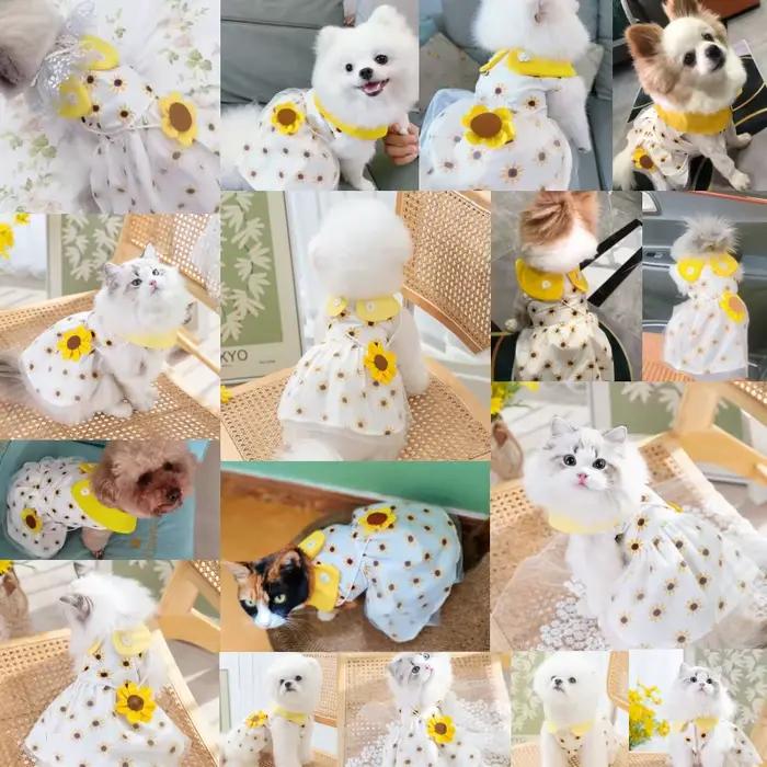 Robe de princesse pour chien, jolie robe en maille pour chien, chaton, chiot, jupe d'été pour chien,