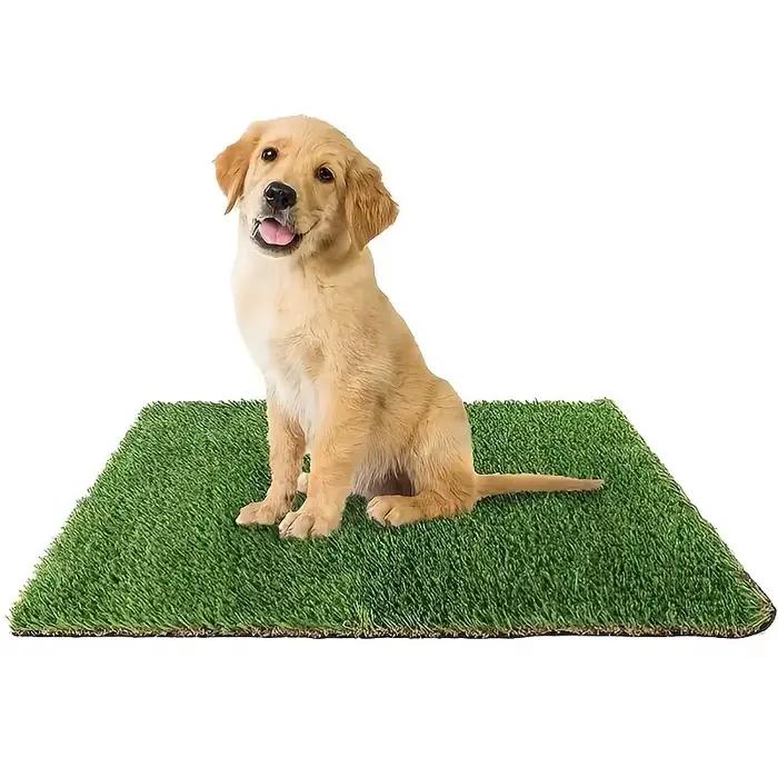 Coussin de pot pour chien en herbe artificielle – Solution de formation pour animaux de compagnie in