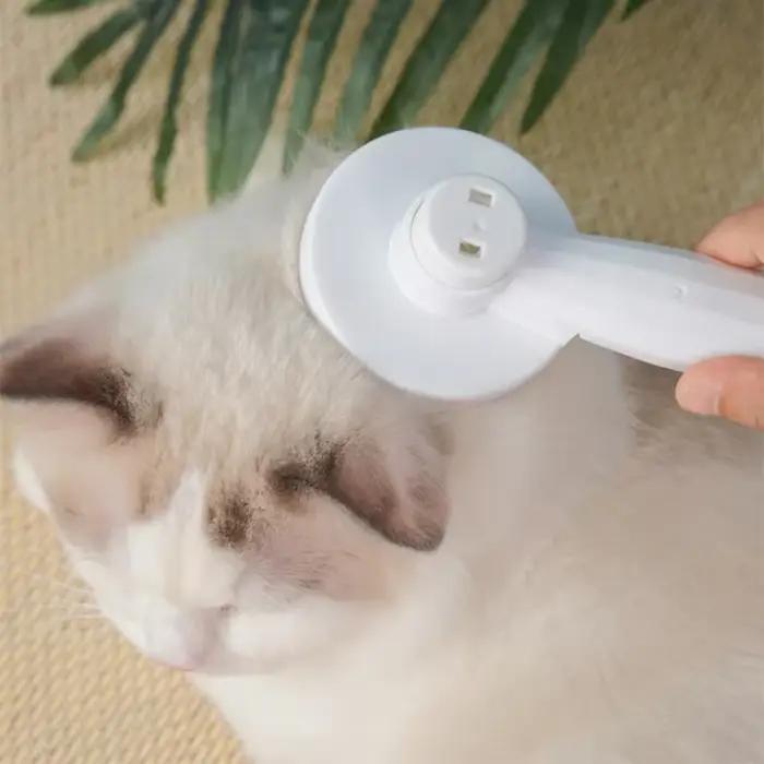 Brosse de nettoyage des poils de chat, peigne d'épilation des poils de chien, outil de toilettage po