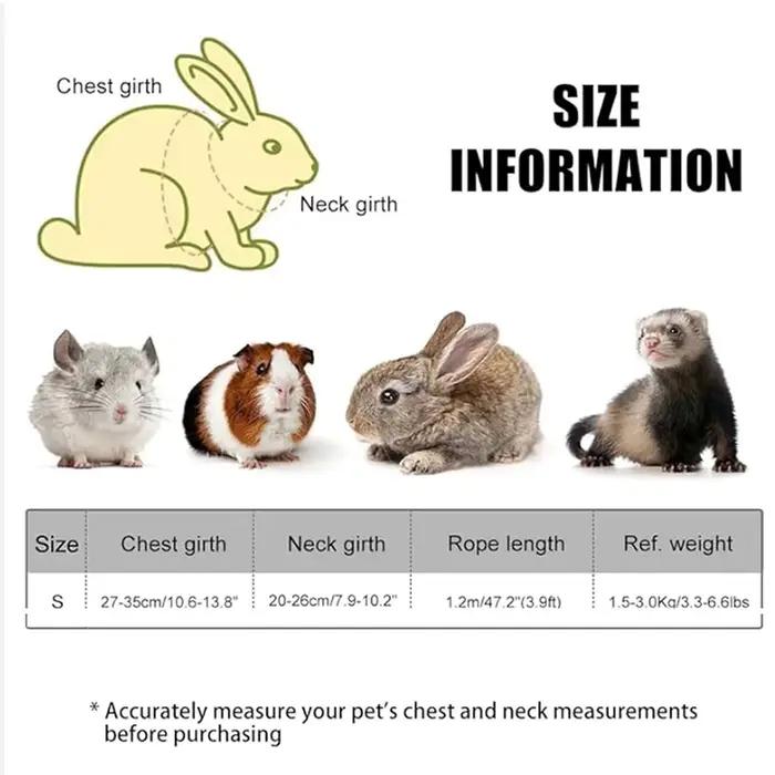 Harnais de lapin laisse respirant pour chien, harnais de marche Anti-traction, gilet réglable pour p