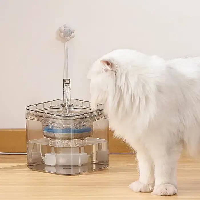 Distributeur automatique d'eau pour animaux de compagnie, capteur de mouvement, filtre, fontaine uni