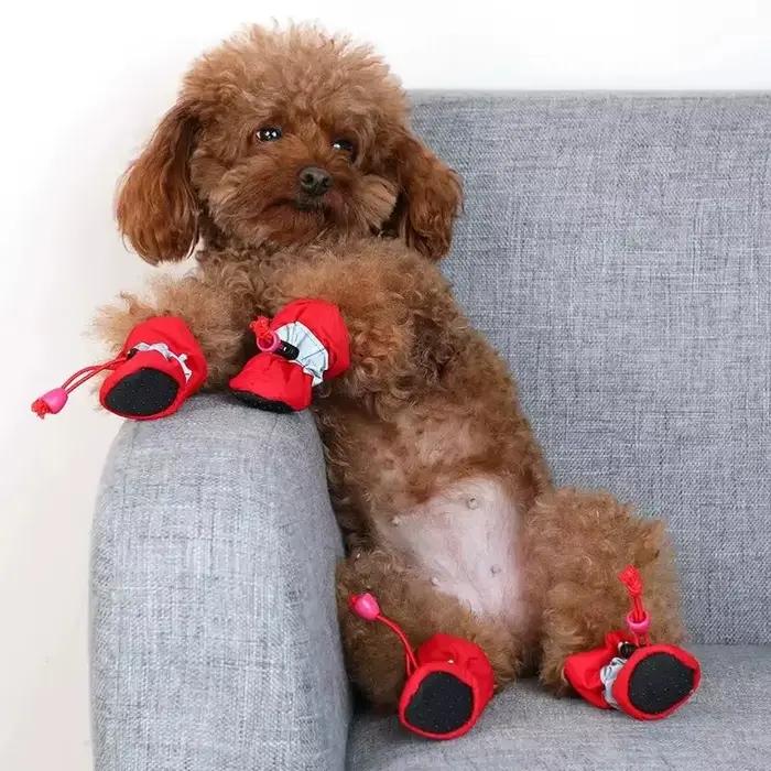 Bottes de neige coordonnantes imperméables pour petits chiens et chats, plus velours, bottes de plui