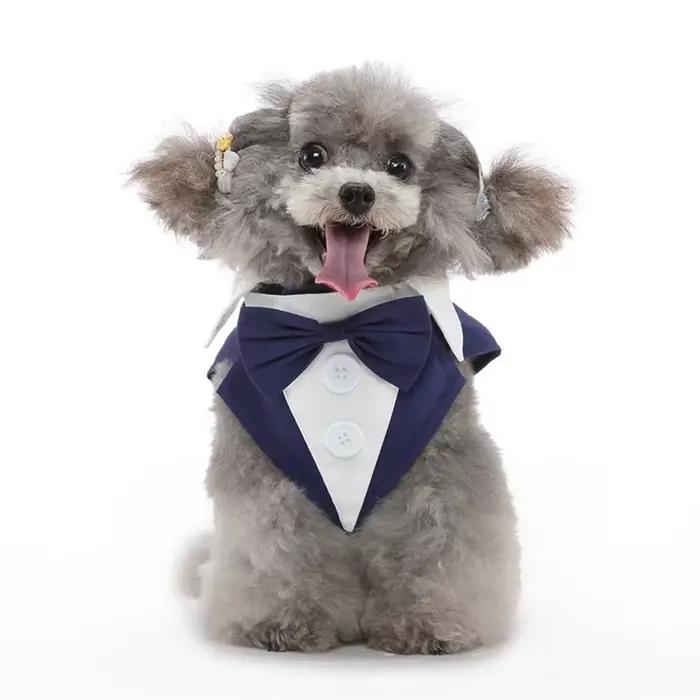 Costume de luxe pour petit chien mâle, de haute qualité, style queue de chien, pour Chihuahua, Malte