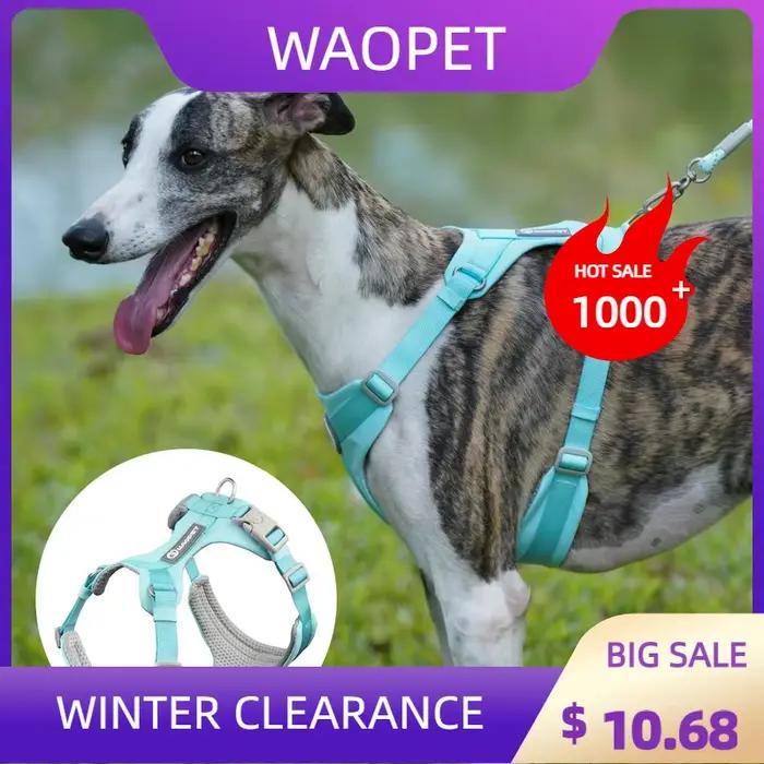 Harnais respirant pour chien, gilet réfléchissant sans traction pour animaux de compagnie, pour peti