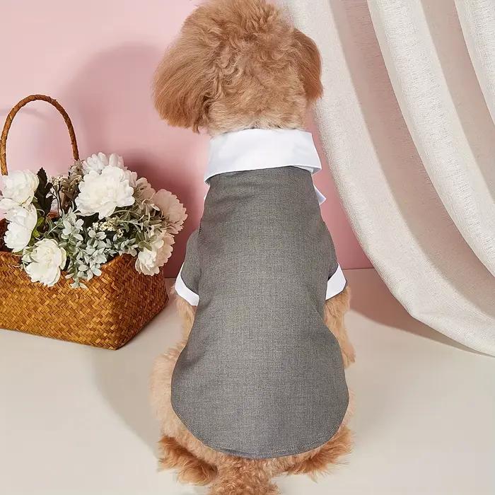Chemise pour animaux de compagnie, vêtements pour petits chiens, Costume formel de mariage avec nœud