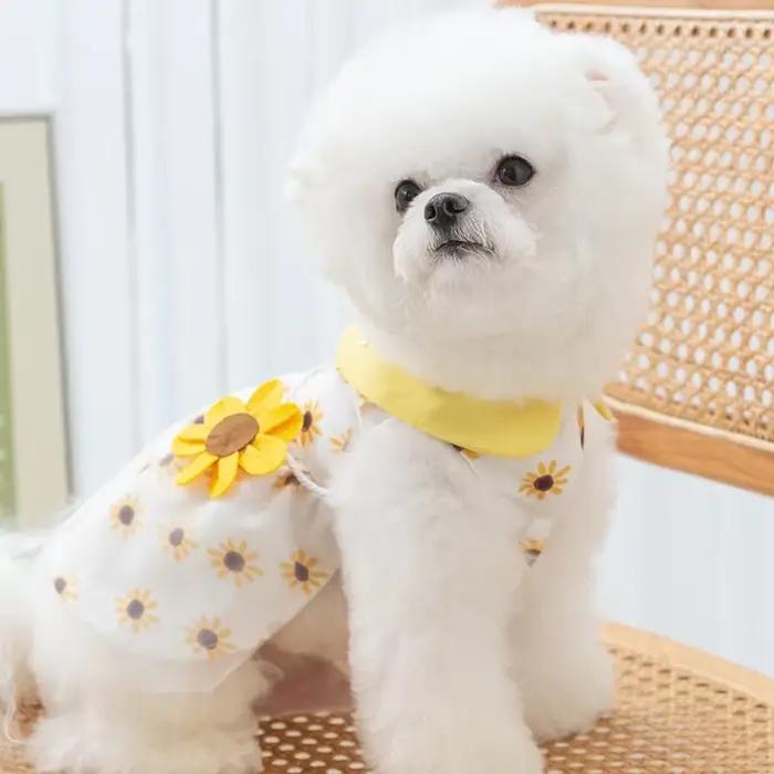 Robe de princesse pour chien, jolie robe en maille pour chien, chaton, chiot, jupe d'été pour chien,