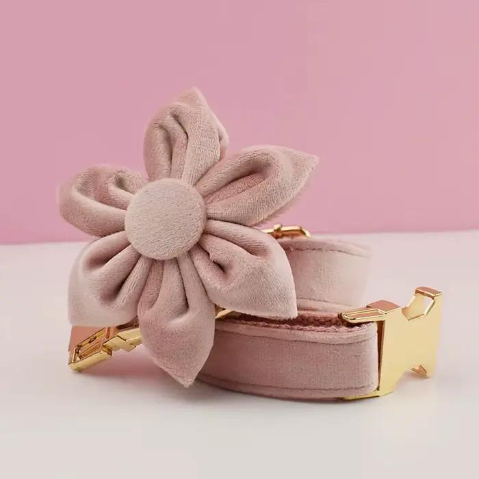 Ensemble collier et laisse pour chien en velours rose pâle, plaque nominative gravée sur mesure, fou