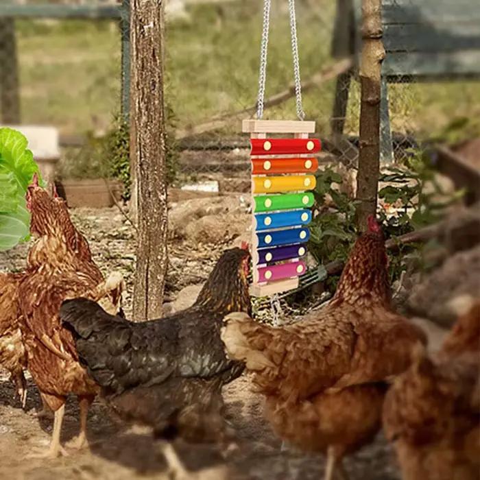 Jouet Xylophone pour oiseaux, poulet, Cage à oiseaux suspendue en bois, accessoires, jouet Musical a