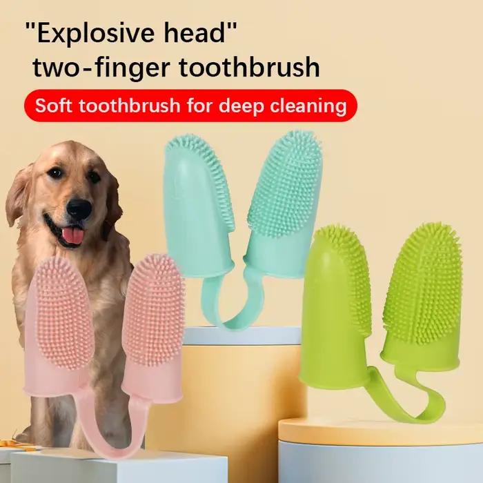 Brosse à Dents pour Animaux de Compagnie, Ensemble de Doigts pour Touristes, Livres Oraux pour Chien