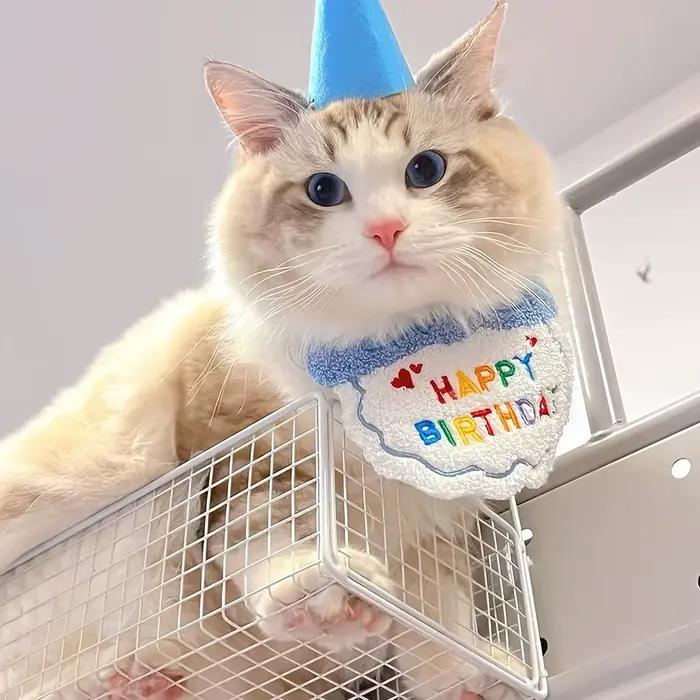 Rendez le spécial anniversaire de votre animal de compagnie avec ce adorable ensemble de chapeaux et