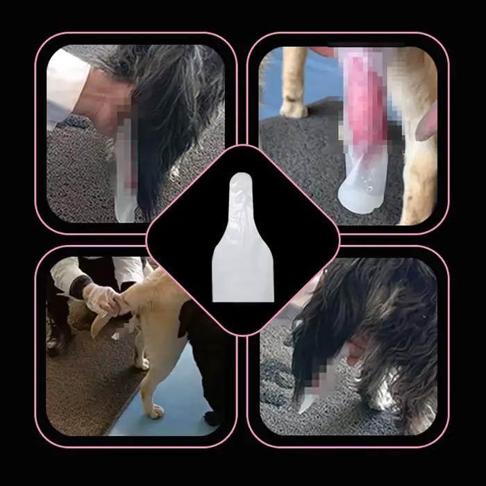 10-350 pièces – Sacs de collecte de sperme jetables pour chiens – Insemination artificielle – Collec