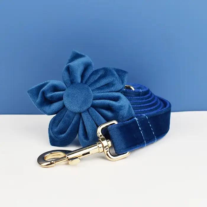Ensemble collier et laisse pour chien en velours bleu, pour chiens de petite, moyenne et grande tail