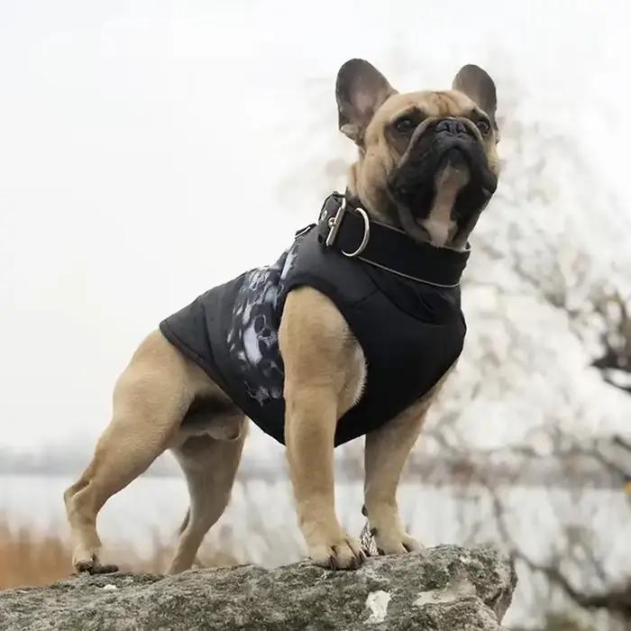 Veste coupe-vent chaude pour animaux de compagnie, manteau imperméable pour petits et moyens chiens,
