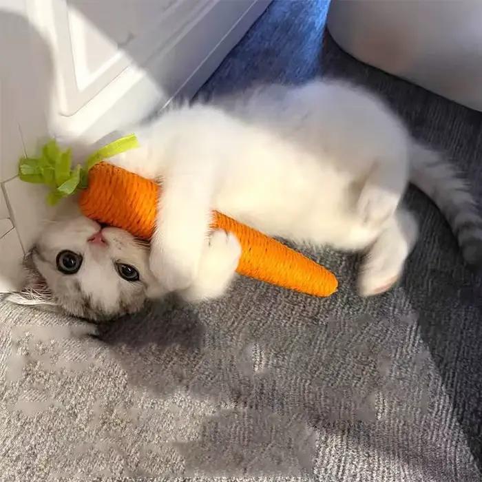 Jouets pour chats son carotte câlin bâton pour chat depuis amusant bâton de dentition pour chat anti