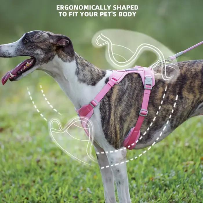 Harnais respirant pour chien, gilet réfléchissant sans traction pour animaux de compagnie, pour peti