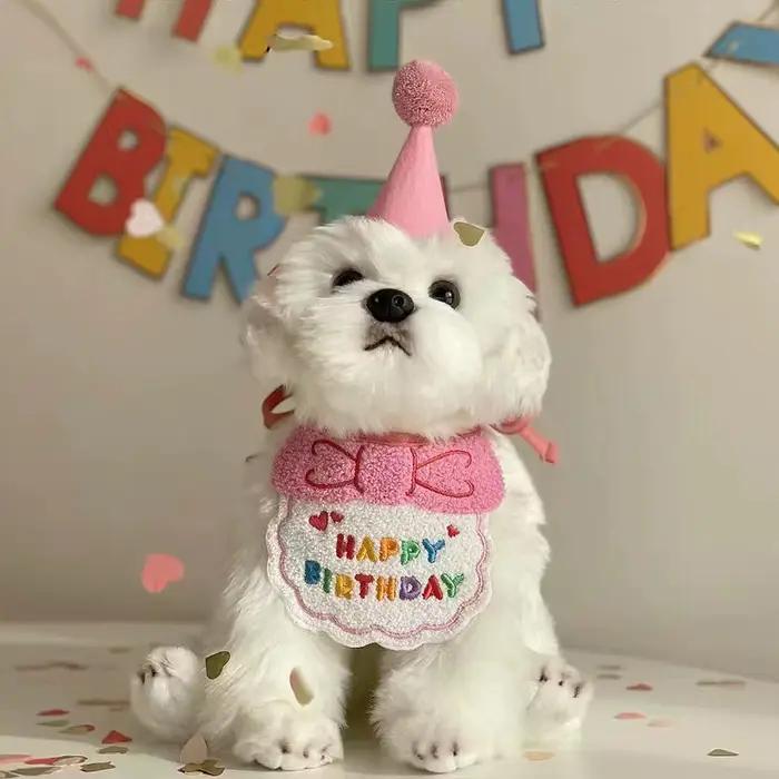 Rendez le spécial anniversaire de votre animal de compagnie avec ce adorable ensemble de chapeaux et