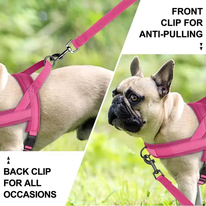Harnais en Nylon rembourré doux pour chien, sans traction, gilet réglable pour chiot, carlin, gilet