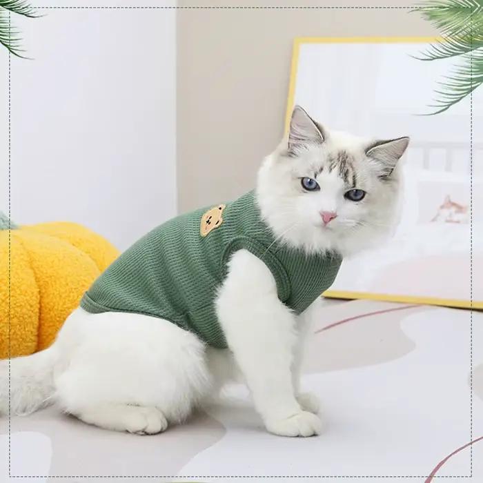 Vêtements pour animaux de compagnie chat imprimé ours gilet chiot chaton col rond sans manches T-shi