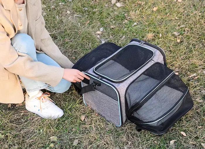 Sac de transport pour animaux de compagnie pliable petit chien Charter transportant chat sac d'exten