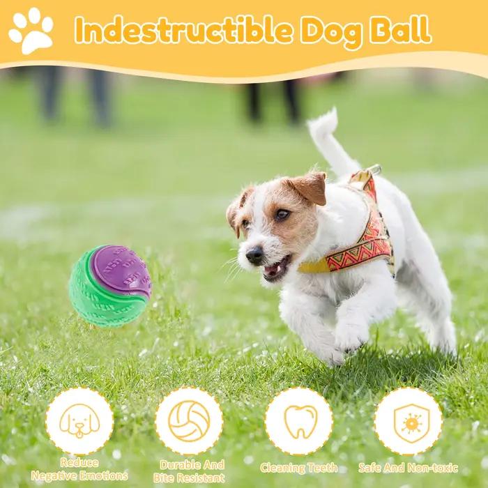 Boules grinçantes pour chiens, 6 pièces, jouets interactifs TPR, jouet à mâcher pour chien, nettoyag