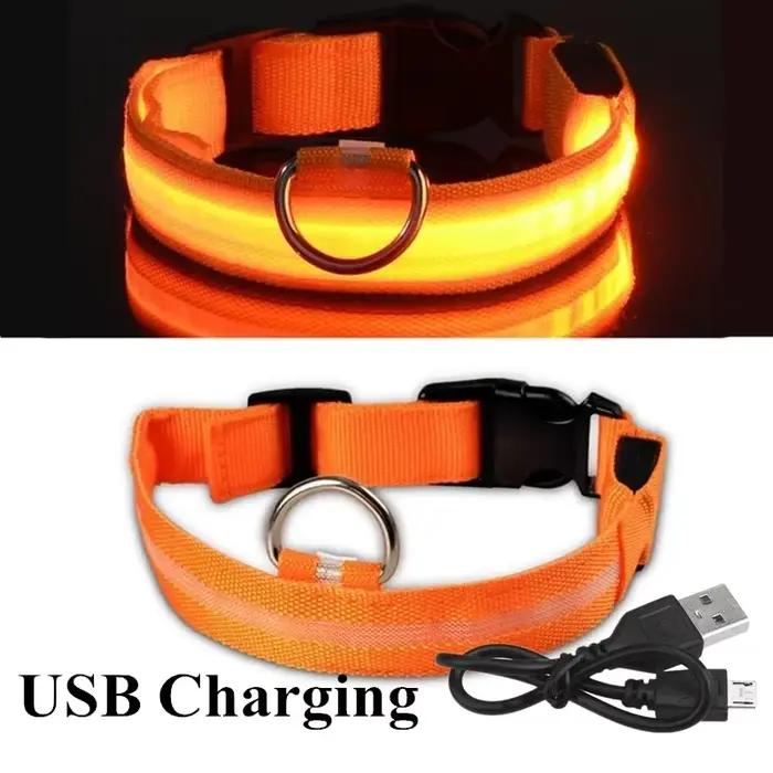 Colliers de chien lumineux LED, Rechargeable, étanche, lumineux, réglable, veilleuse pour chien, col
