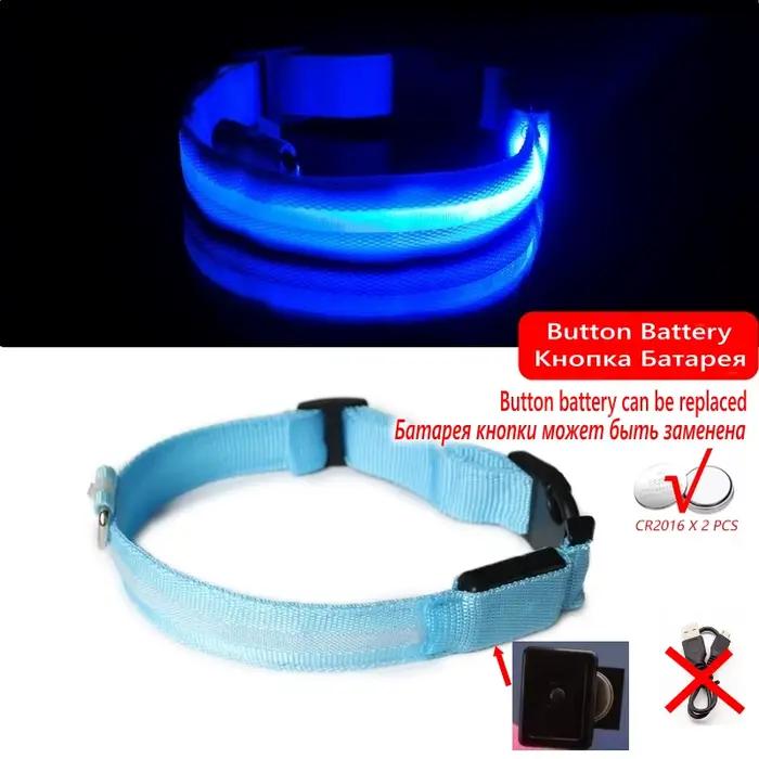 Collier Anti-perte pour chien, lumière Led, fournitures lumineuses de nuit pour chiots, produits pou