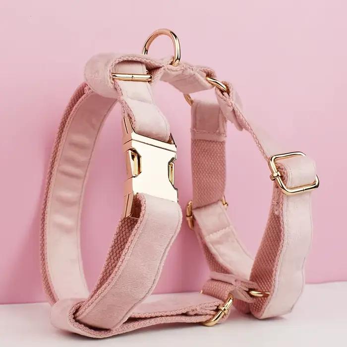 Ensemble collier et laisse pour chien en velours rose pâle, plaque nominative gravée sur mesure, fou