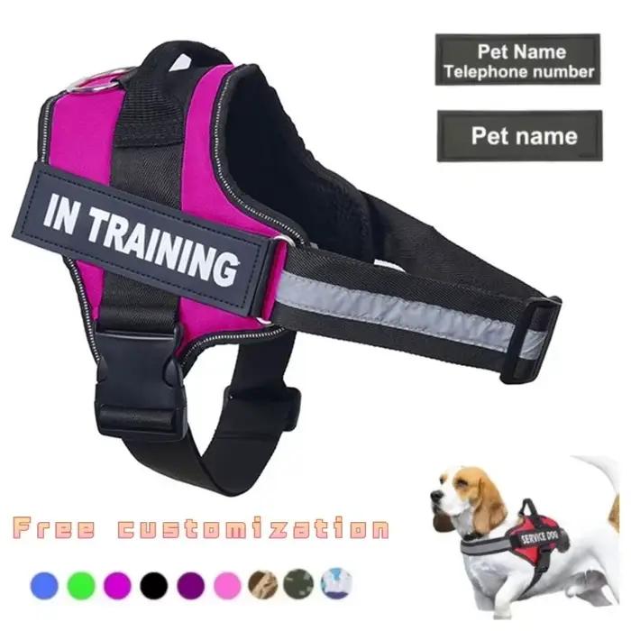 Chien personnalisé SFP Casting réglable sans nervure pour animaux de compagnie, glaçure pour petits,