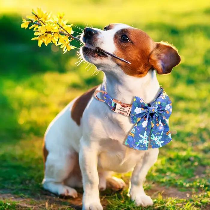 Collier de chien personnalisé en nylon avec nœud papillon, imprimé personnalisé, Chihuahua, bullodog