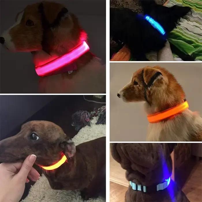 Colliers de chien lumineux LED, Rechargeable, étanche, lumineux, réglable, veilleuse pour chien, col
