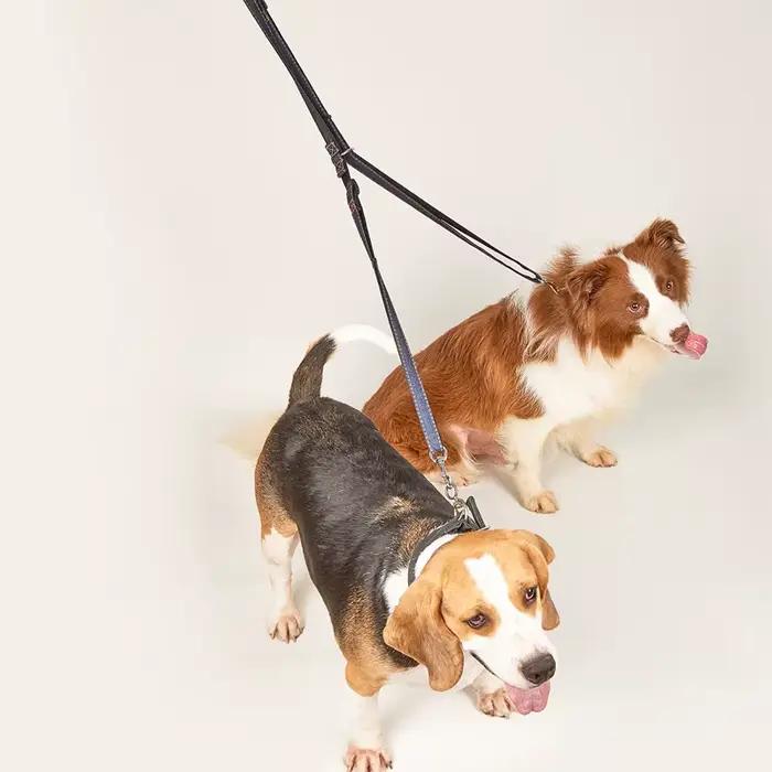 Laisse multifonctionnelle en tissu Jean pour chien, longueur réglable, mains libres, laisse à Double