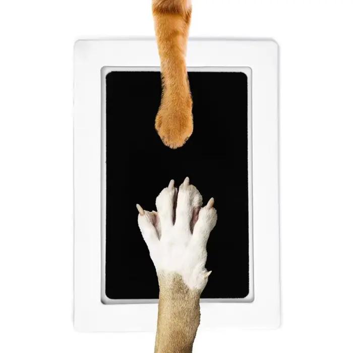 Kit d'encre imprimé patte de chien et chat, tampon sûr, Non toxique, empreintes de bébé, douche pour