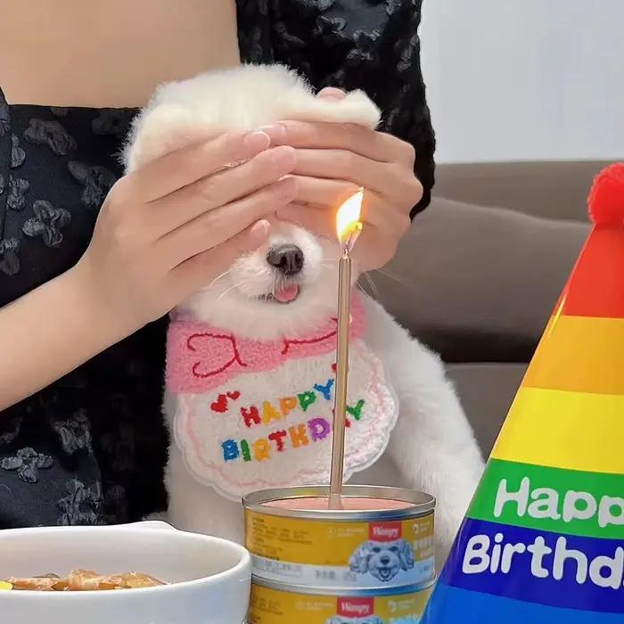 Rendez le spécial anniversaire de votre animal de compagnie avec ce adorable ensemble de chapeaux et
