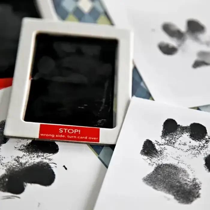 Kit d'encre imprimé patte de chien et chat, tampon sûr, Non toxique, empreintes de bébé, douche pour