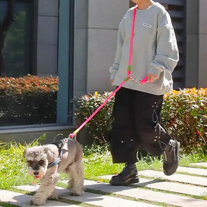 Laisse pour chien mains libres laisse pour chiens laisses doubles réglables pour chien marche épaule