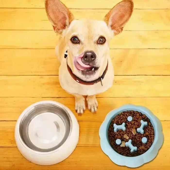 Fournitures pour animaux de compagnie, mangeoire lente de couleur, bol pour chat, Puzzle en plastiqu
