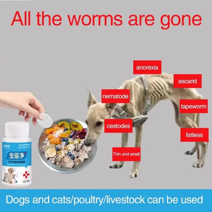 Chiens deworming, chats, animaux domestiques, porcs, chevaux, bovins, vers ronds, nematodes, ticks e