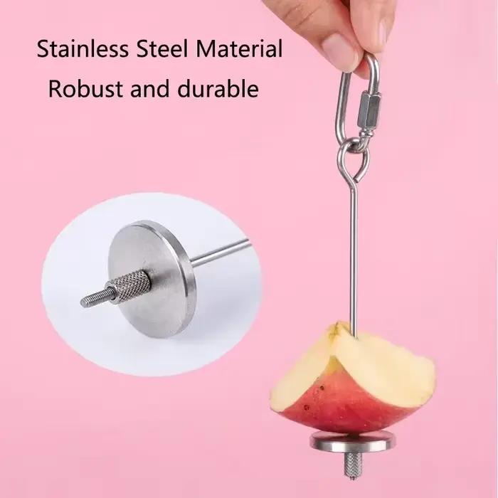 Mangeoire à perroquets en acier inoxydable pour animaux de compagnie, fourchette à fruits et maïs, j