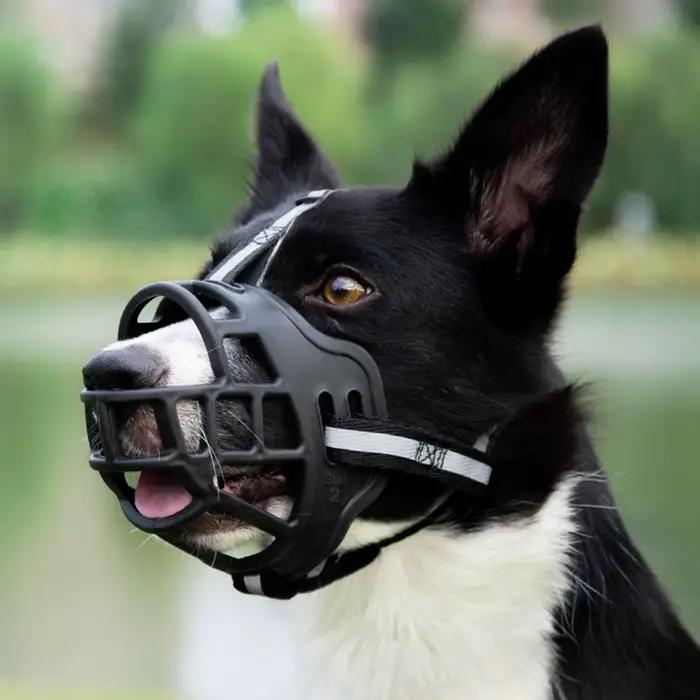 Muselière réglable pour chien, couvre-bouche Anti-morsure avec bande réfléchissante, peut boire de l