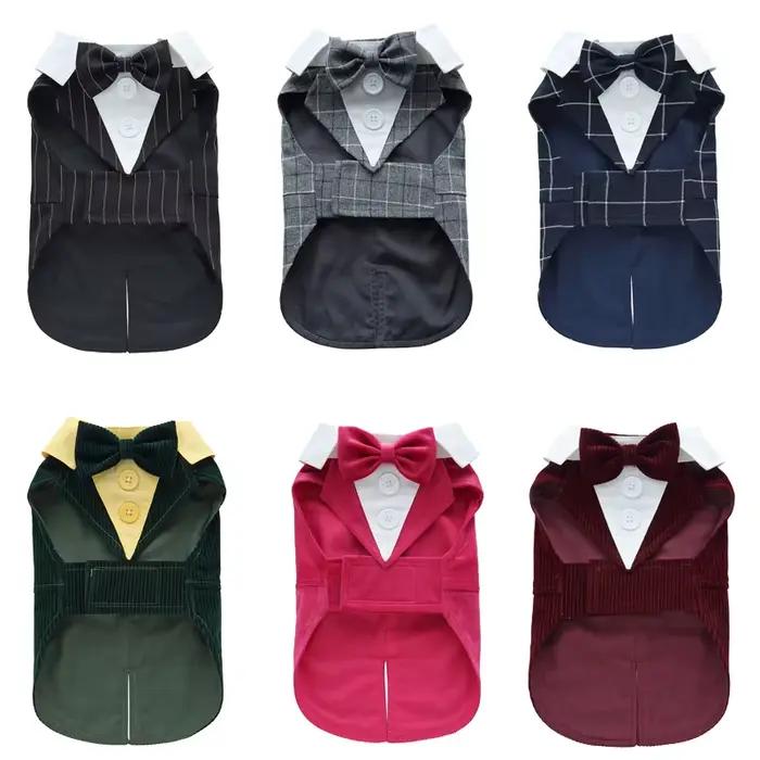 Costume de luxe pour petit chien mâle, de haute qualité, style queue de chien, pour Chihuahua, Malte