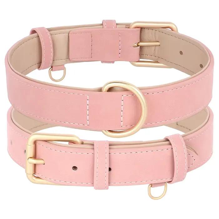 Ensemble de laisse de collier de chien rembourré doux collier de colliers de chien de compagnie en c