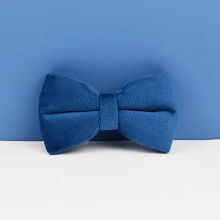 Ensemble collier et laisse pour chien en velours bleu, pour chiens de petite, moyenne et grande tail
