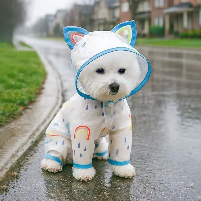 Imperméable pour animaux de compagnie, combinaison à quatre pattes, imperméable pour chiens et chats