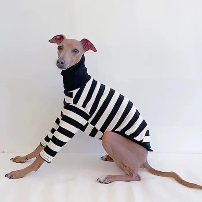 Vêtements pour animaux de compagnie à rayures noires et blanches, nouveaux vêtements de printemps et
