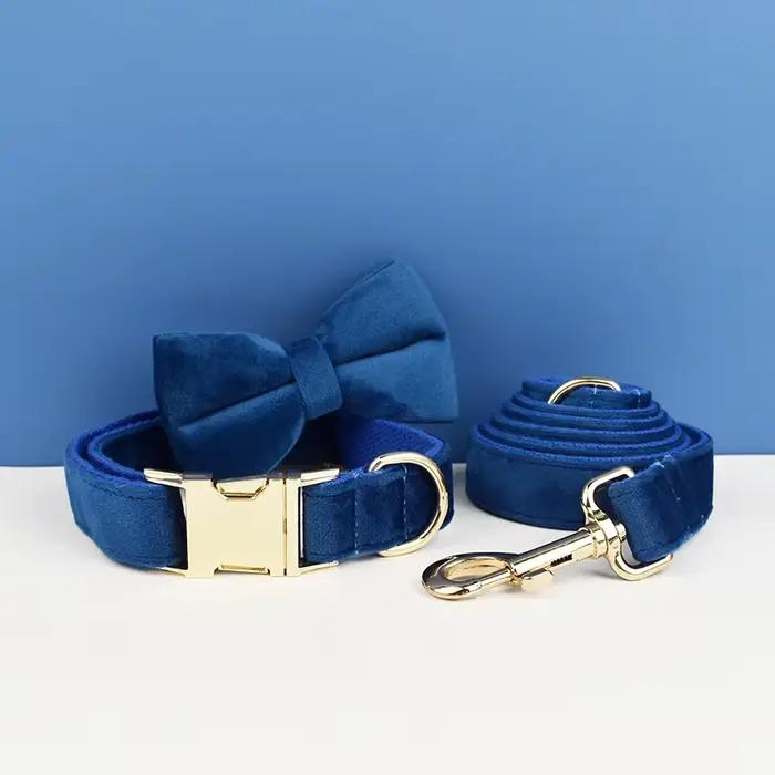 Ensemble collier et laisse pour chien en velours bleu, pour chiens de petite, moyenne et grande tail