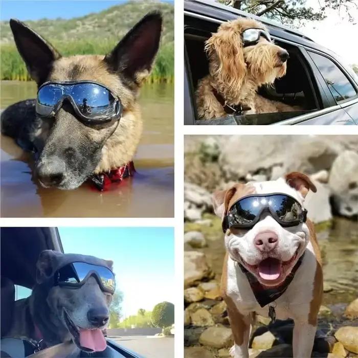 Lunettes de soleil avec sangle réglable pour chiens moyens et grands, lunettes de voyage, lunettes d