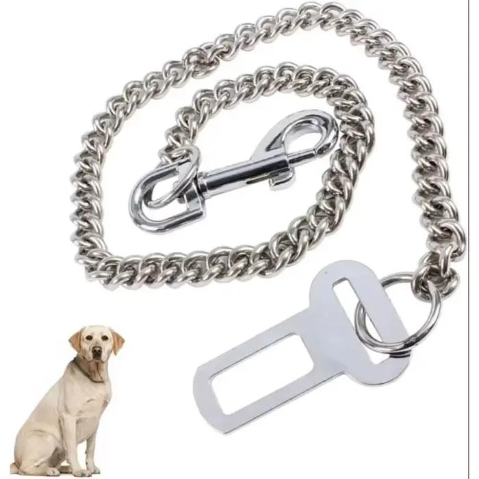 Laisse pour chien 2025