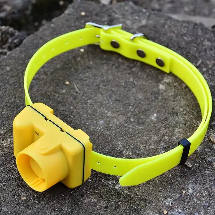 Collier Électrique de html Professionnel pour Chien