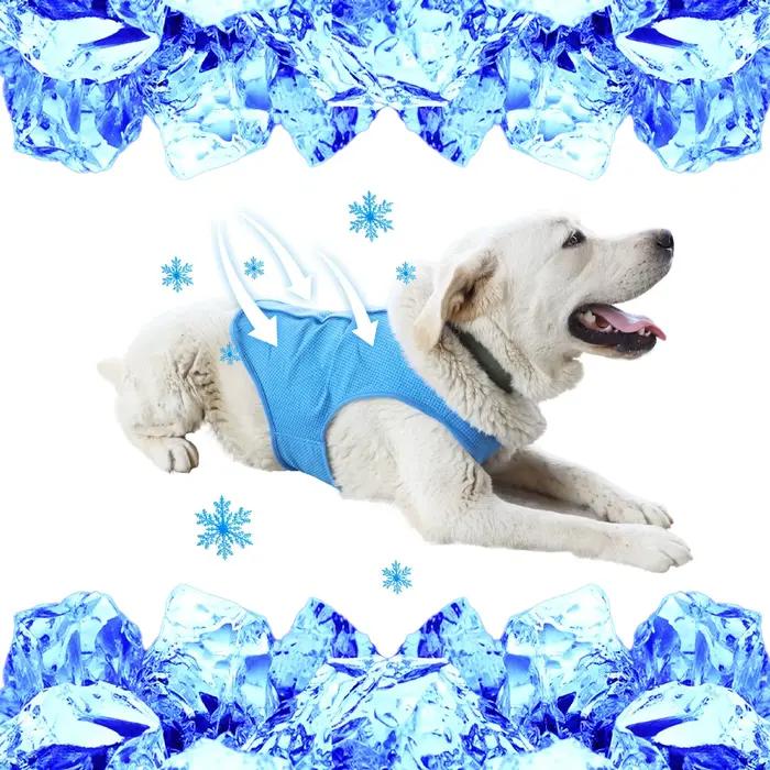 Gilet rafraîchissant pour animaux de compagnie pour chiens et chats